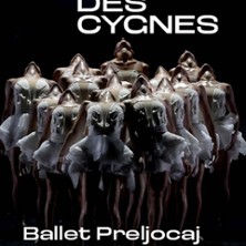 Le Lac des Cygnes - Ballet Preljocaj