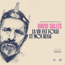 David Salles - La Vie est Folle et Moi Aussi 2026