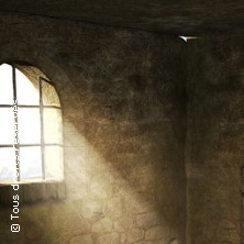 LE PRISONNIER DE LA BASTILLE VISITE ENQU&Ecirc;TE A PARIS