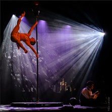 Compagnie Haspop - Curiosit&eacute; - Cirque du Gand Lyon